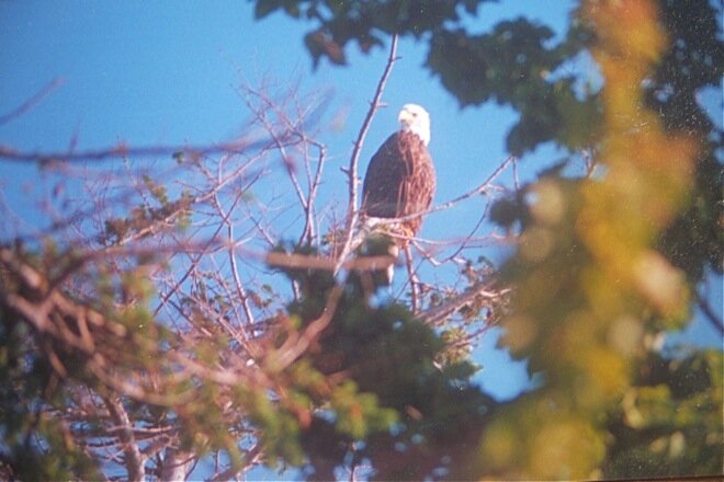 Nature and ecology books for Simply San Juan, San Juan Islands Washington.
