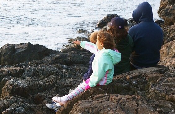 Whale watching at Lime Kiln Point State Park, San Juan Islands Washington