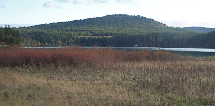 Mount Young, San Juan Island.