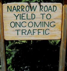 Yield sign, San Juan Island, Washington