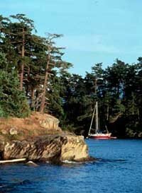Patos Island marine campground.