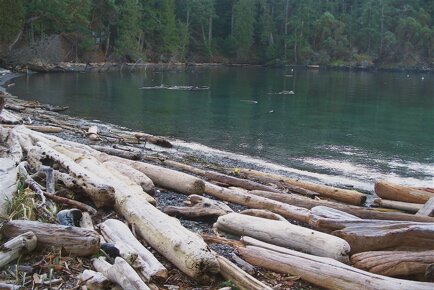The beach at San Juan County Park, San Juan Island, Washington.
