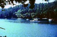 Stuart Island marine campground.